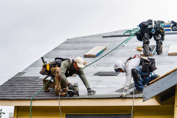 Professional Gutter Installation technician working in Chandler, TX